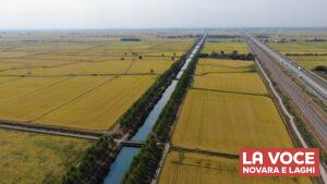 Canale Cavour - la Voce Novara e Laghi