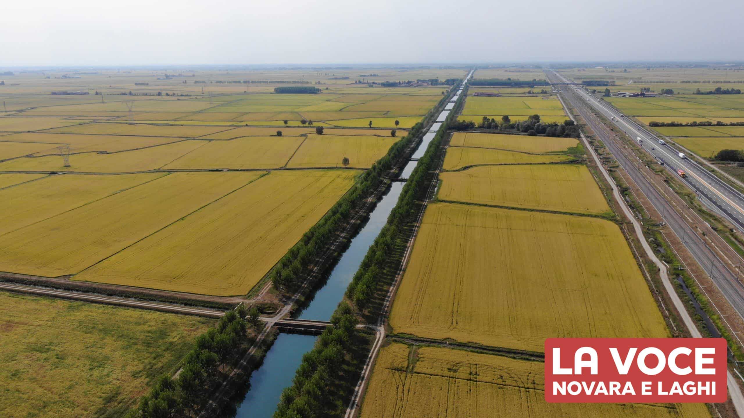 Canale Cavour - la Voce Novara e Laghi